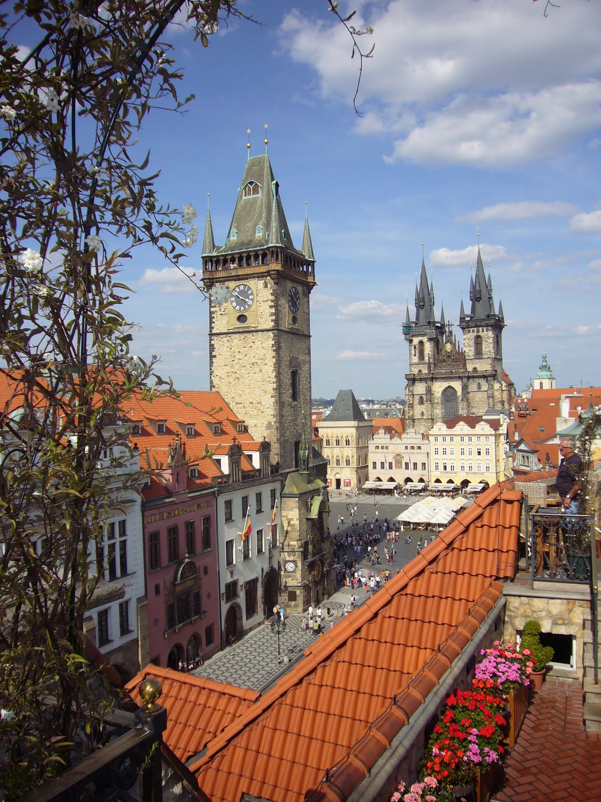 [P1080033.JPG]