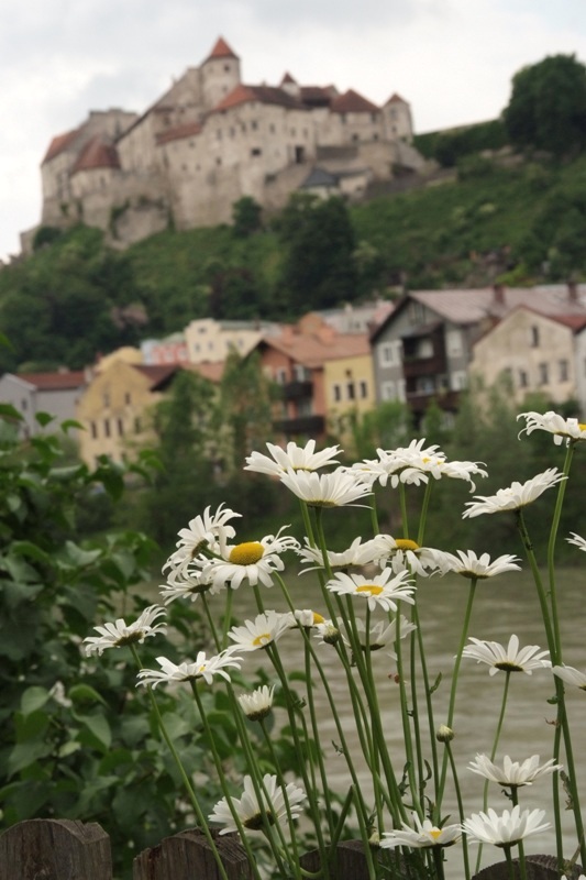 [DSCF1784.JPG]