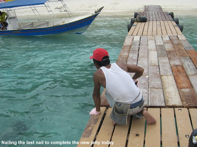 Fauna Perhentian