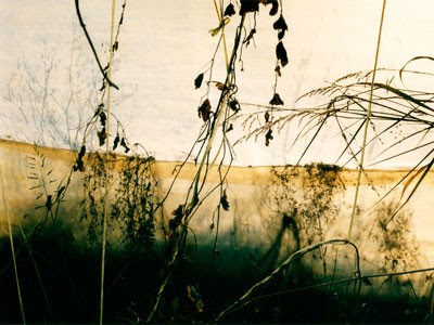 fay godwin glassworks