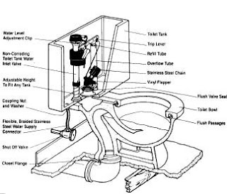 Ace Hardware Helpful Tips: Anatomy of a Toilet Ace Hardware Helpful Tips: Anatomy of a Toilet