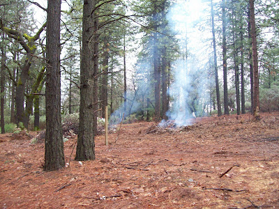 How Many Calories Do I Burn Walking - Articles How Many Calories Do I Burn Walking - Articles