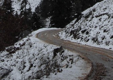 Αποτέλεσμα εικόνας για γκροπα συραγγα"