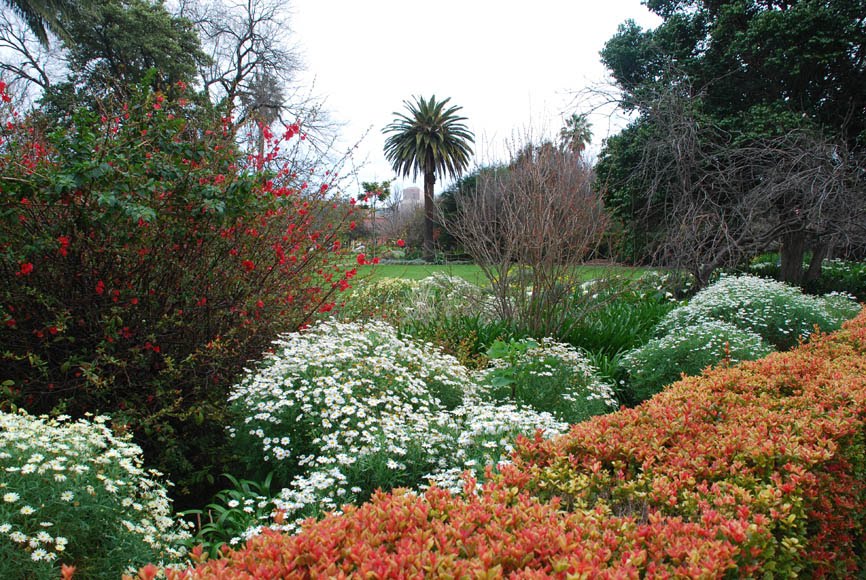 garden delights: October 2010