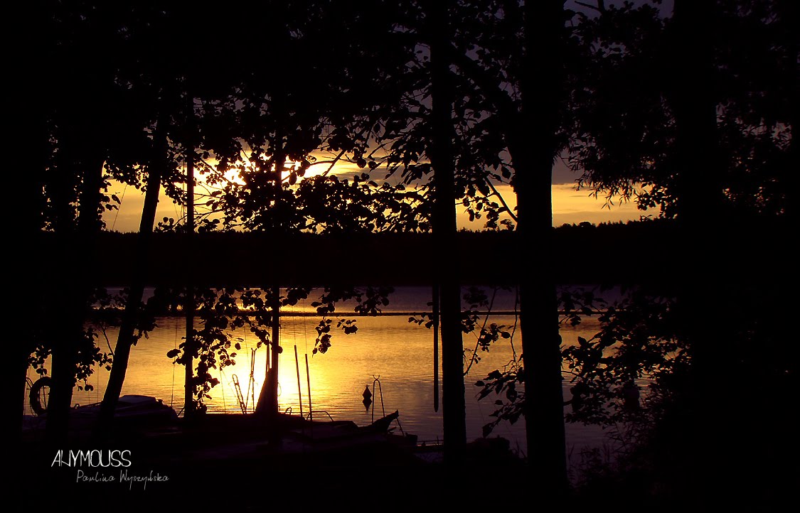 [DSC09140+copy.jpg]