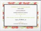 Certificate of Attendance