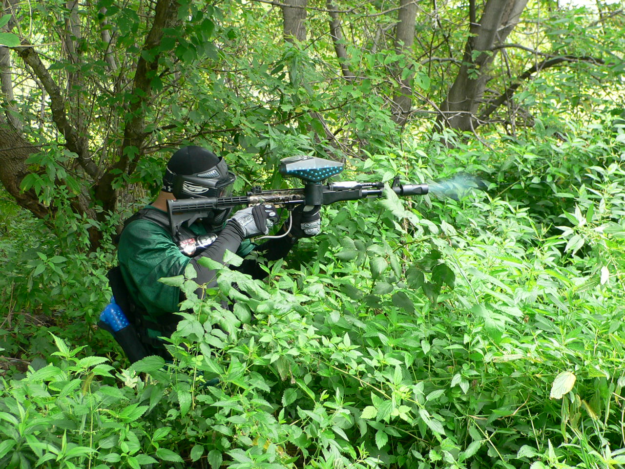 Paintball Woods