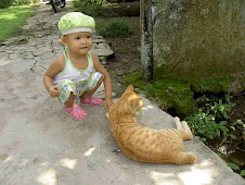 PLAY WITH A CAT