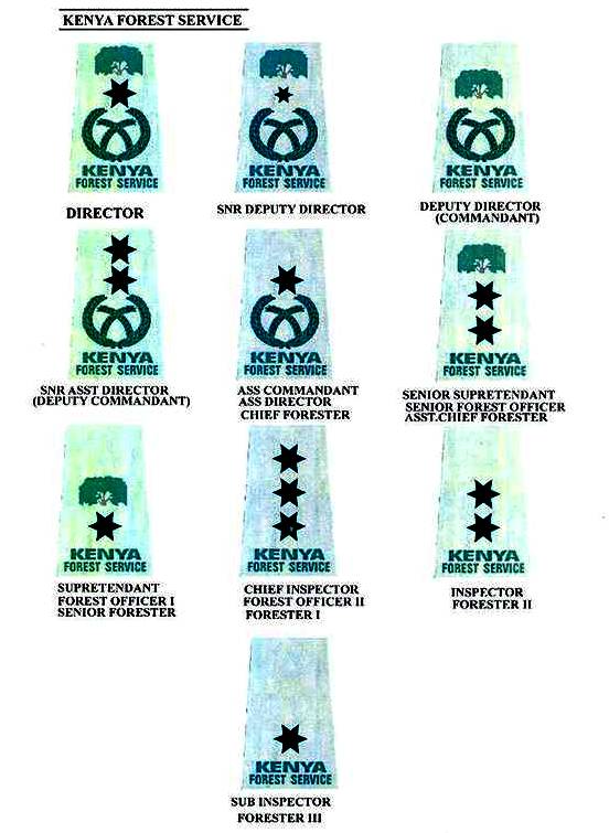 Kenya Forests Insignia approved