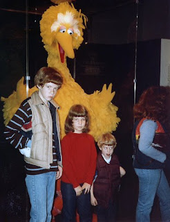 Really Big Birds