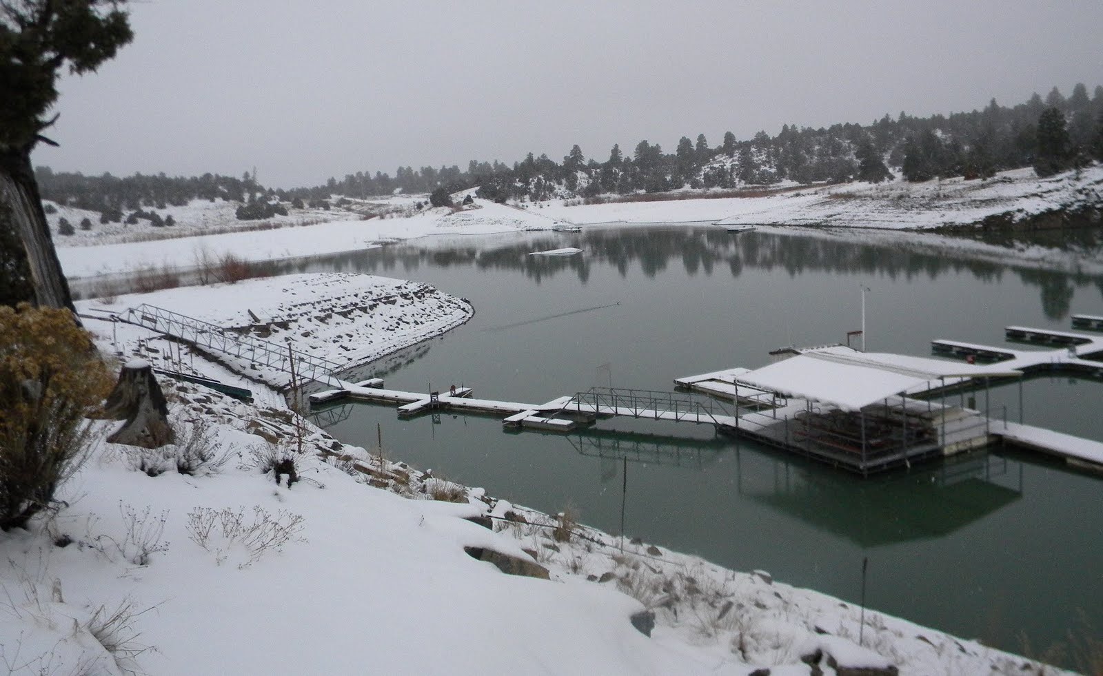 Desert Sea New Mexico and Southwestern Sailing Heron Lake Marina in