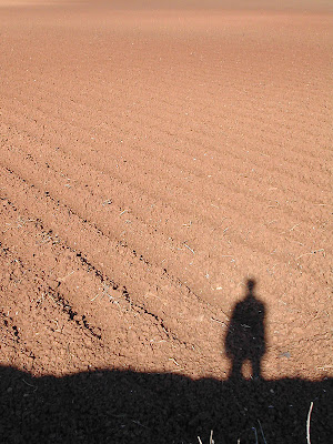 sombra en la aridez de la soledad
