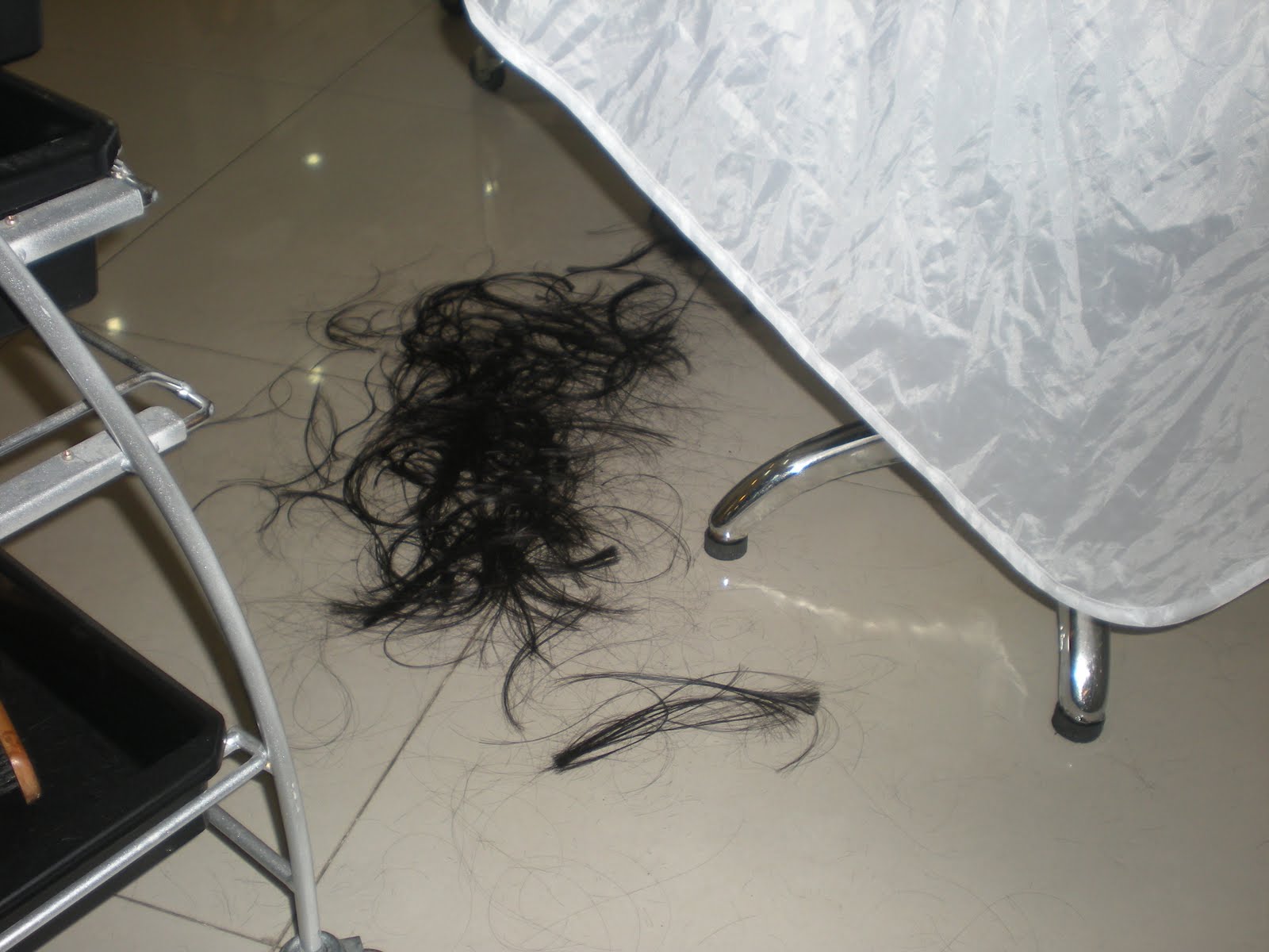 [DSCN3737.JPG]