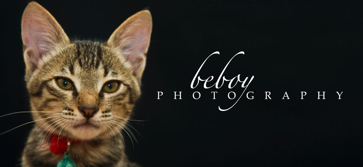 Beboy Photography
