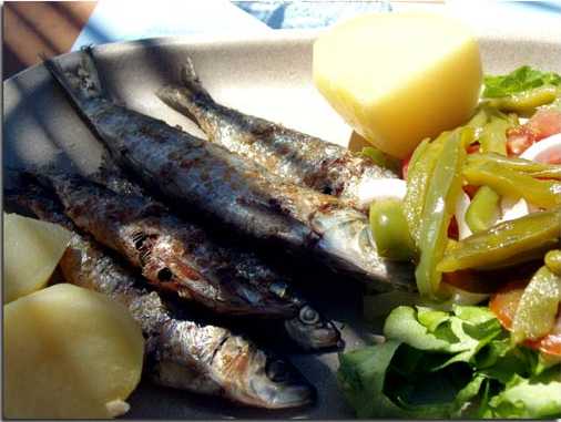 [2006-Sardinhas.jpg]