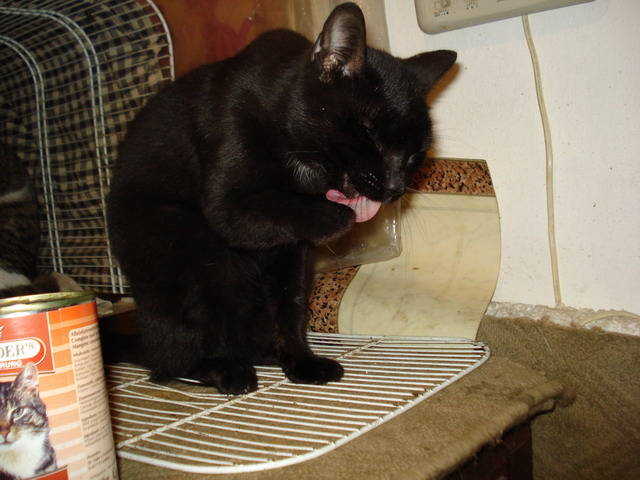 [DSC01219_resize.JPG]