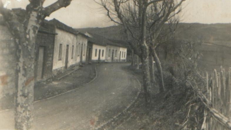 [Image0052.JPG]