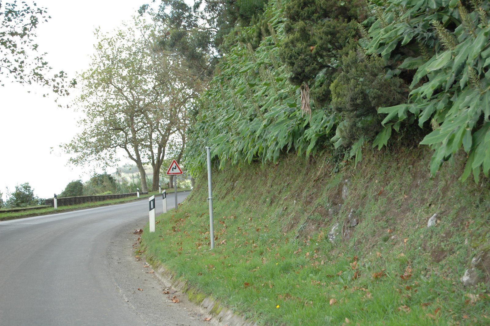 [DSC_2418.JPG]
