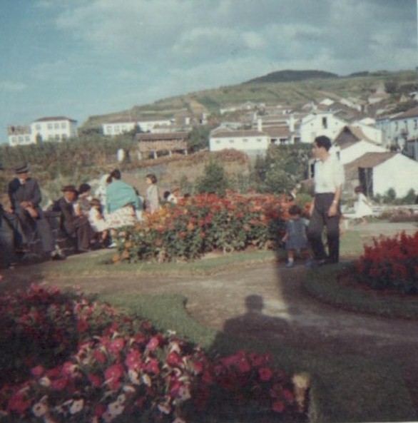 [Image0050.JPG]