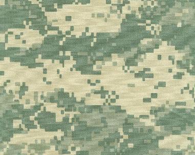 [camouflage2.jpg]