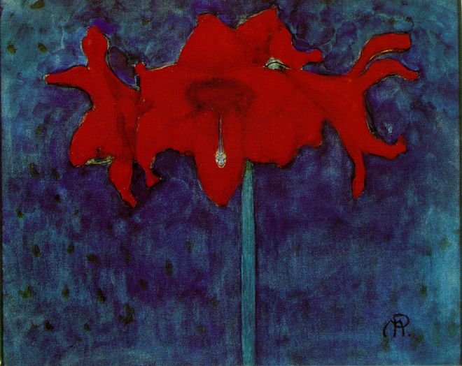 [a+piet+mondrian++amaryllis.jpg]