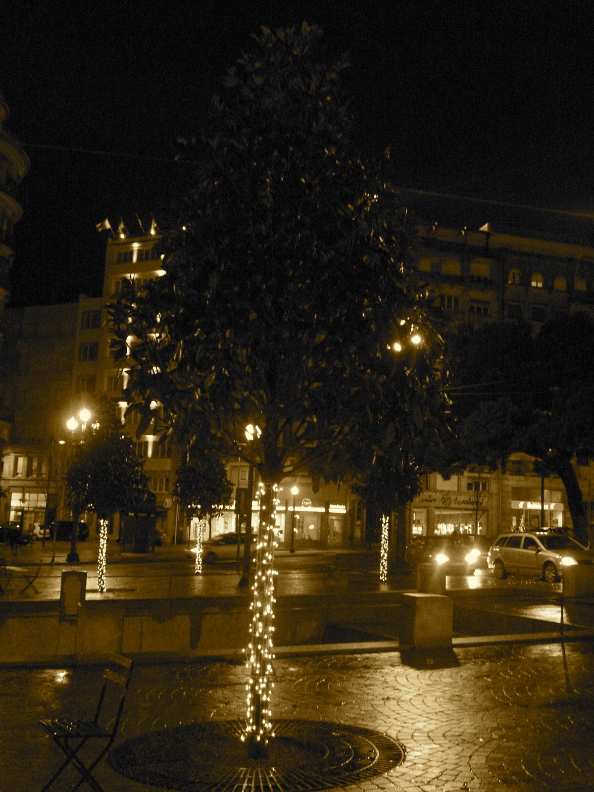 [DSC02513.JPG]