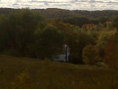from our hill, up behind the house.