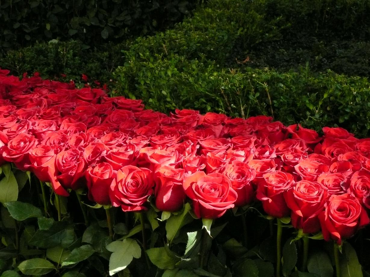 [P1010182ルート６６.JPG]