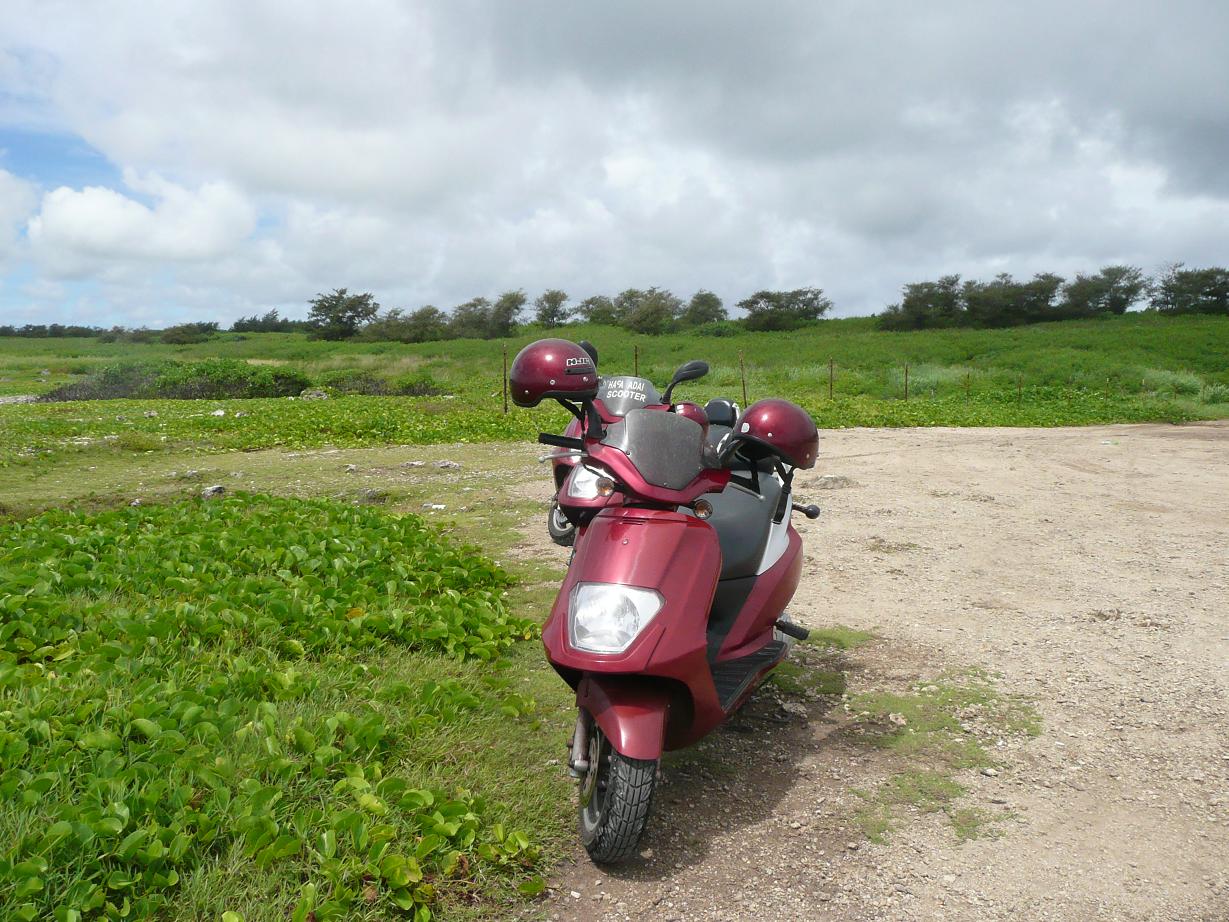 [借りたバイク.JPG]