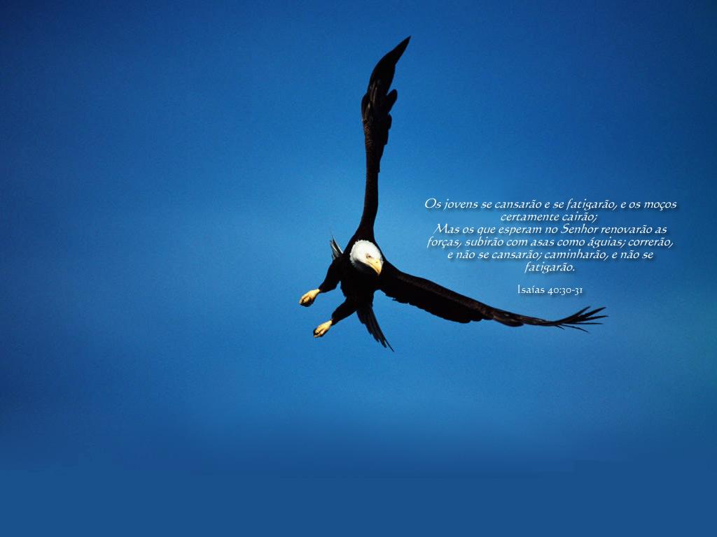 http://4.bp.blogspot.com/_RZtz7XKT4ZE/S7TsIIqNWSI/AAAAAAAAAfA/LlnNerFZg6E/s1600/isaias__4030-31_5b5.jpg