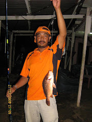 Ikan merah PD 2008