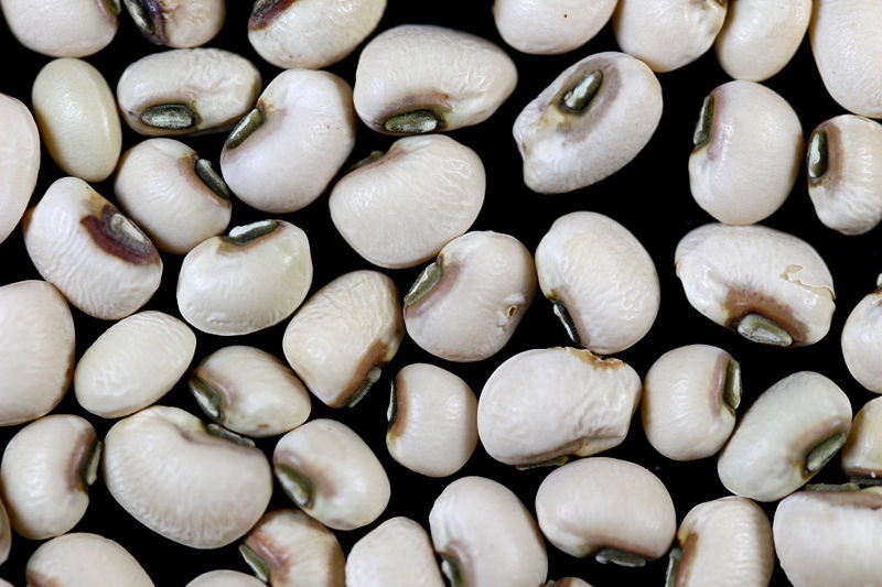 Dried Black Eyed Peas