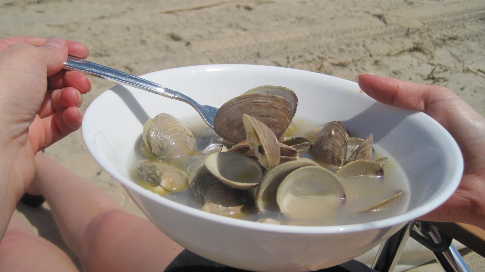 http://4.bp.blogspot.com/_R_jY8MM4-ZA/S_8DV-hbdlI/AAAAAAAAA38/tD5MS0Qnilg/s1600/clams+%2B+blue+moon+%2B+stingray+%2B+bluecoast+039.jpg
