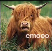 Visit Our Sister Site: Emo Cows