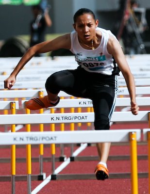 Lari Berpagar