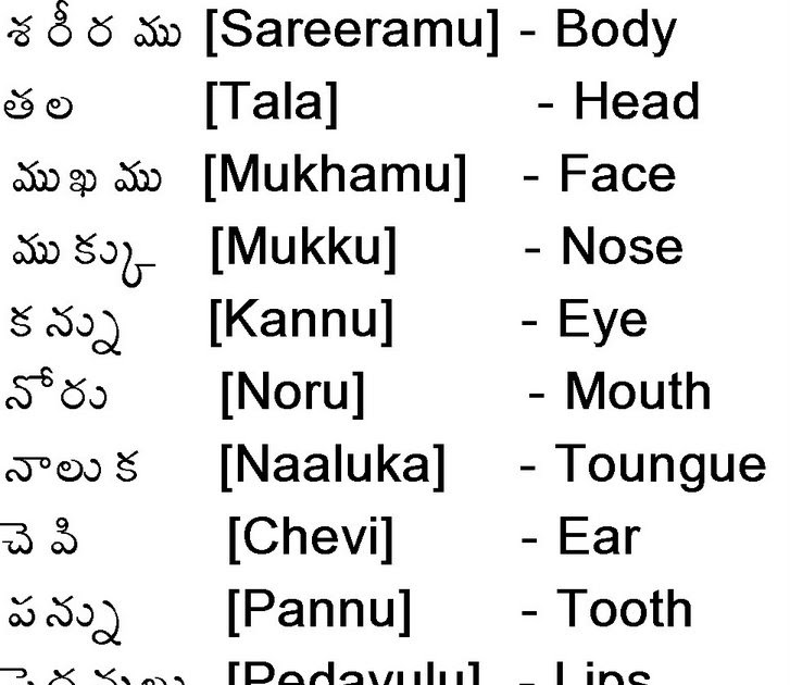 Child care,Poems,Parenting: Parts of Body(Telugu)