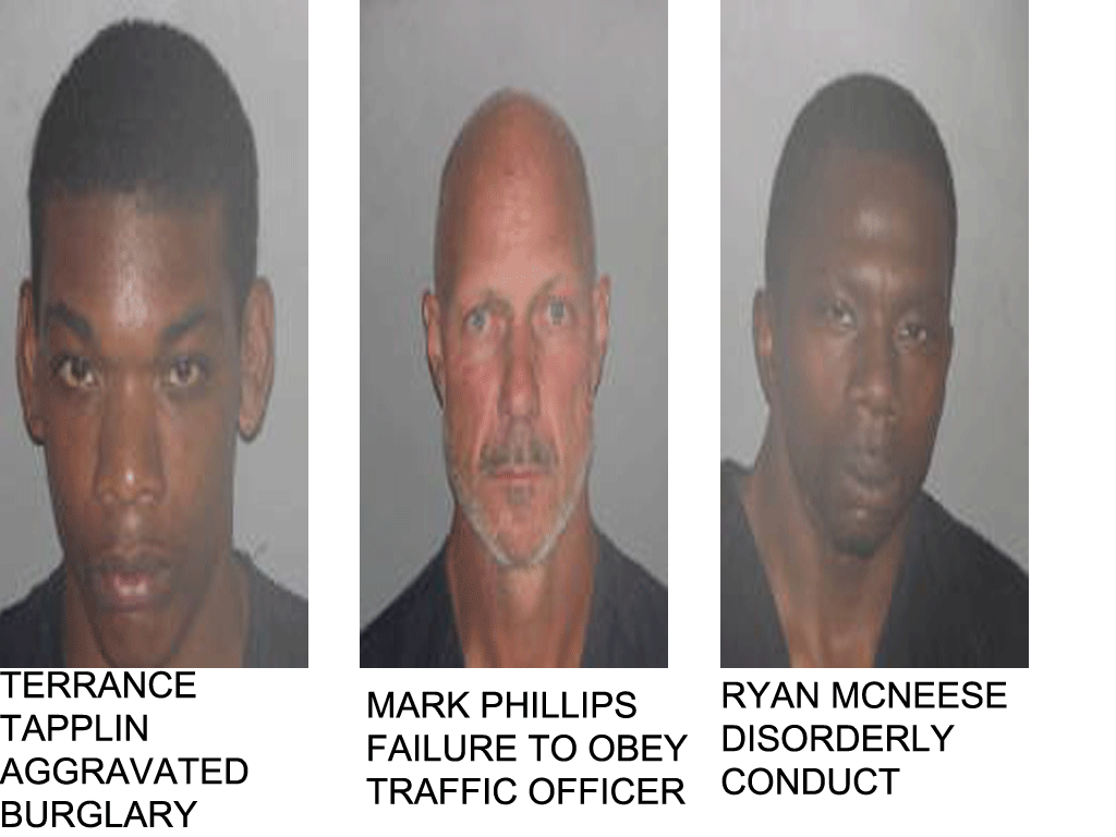 Please Donate and Support Your Link To Who Got Busted
