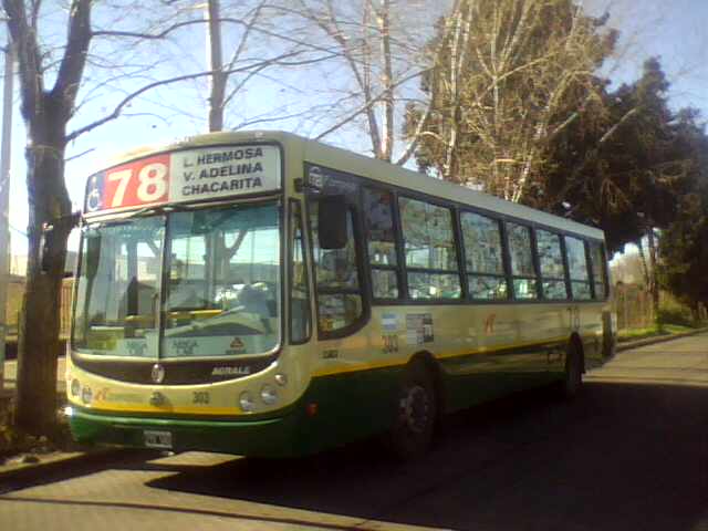 29-06-10_103148.jpg