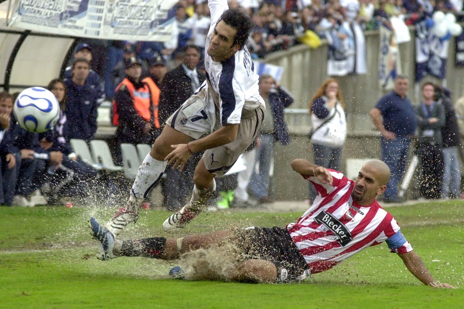 Veron33[1].jpg