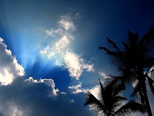 How the hell does this work?: Sunny Sunday