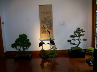 CLUB PERUANO DE BONSAI: Exposición del "CLUB PERUANO DE BONSAI"