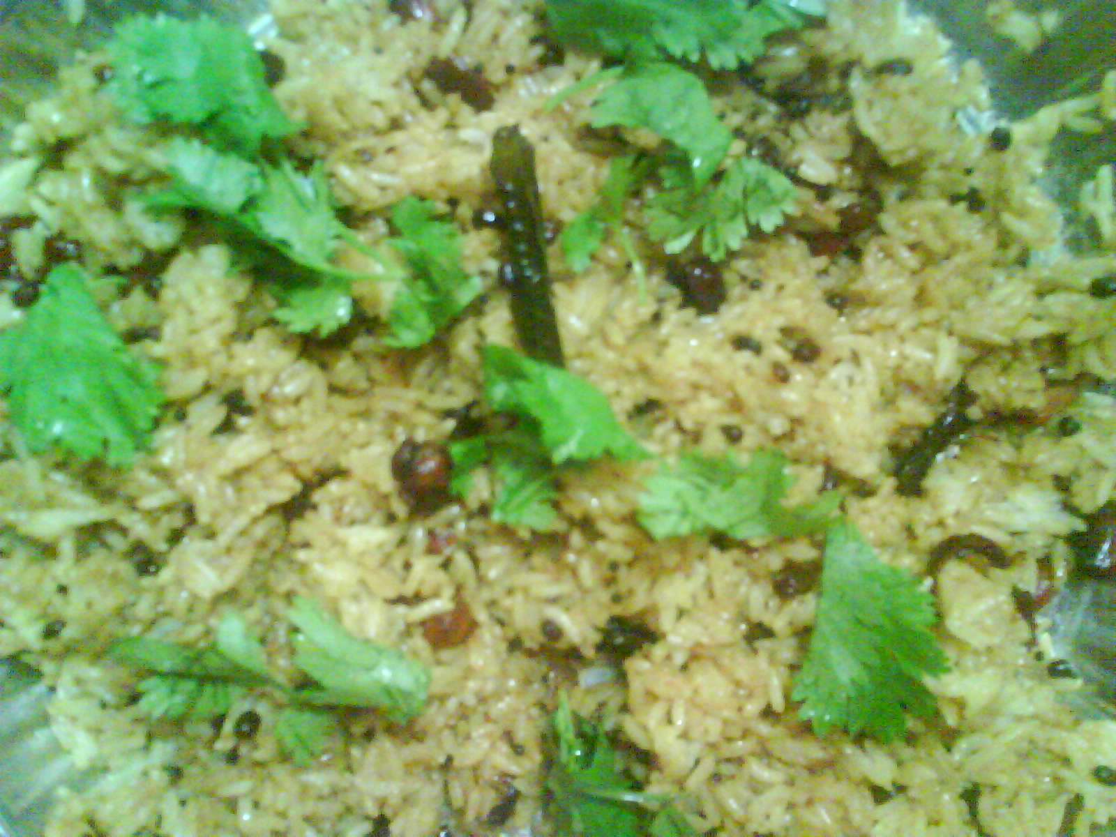 [DSC00788.JPG]