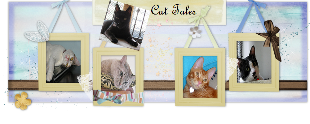 Cat Tales