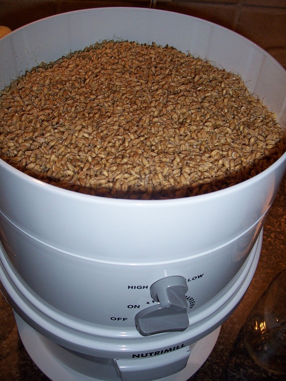 How to Make Sprouted Flour • The Prairie Homestead