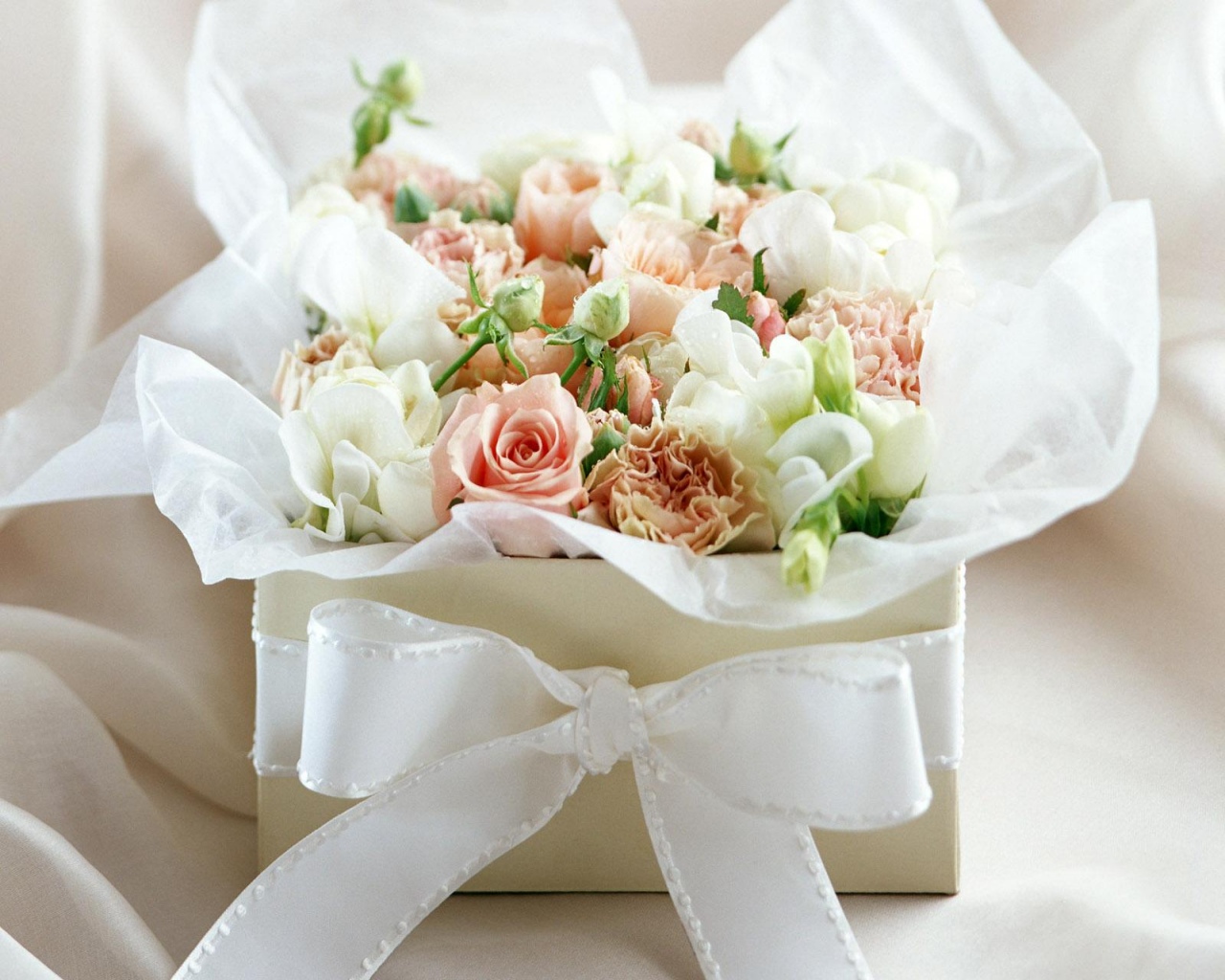http://4.bp.blogspot.com/_RcETiEfxCIQ/TKSDdxsJCaI/AAAAAAAAAGw/gXTi53xaBXY/s1600/white_rose_flowers-normal5.4.jpg