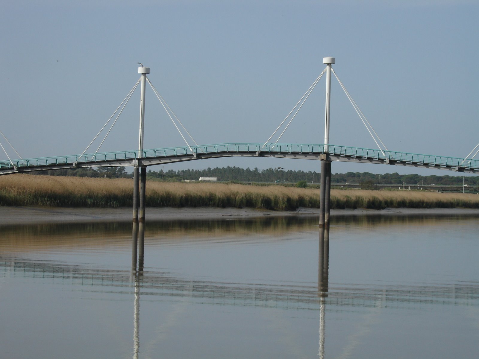 [DSC06341.JPG]