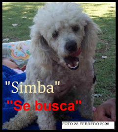 Conoce la historia de SIMBA.