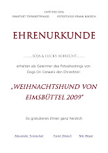 "Weihnachtshund von Eimsbüttel 2009"
