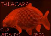Mi foto