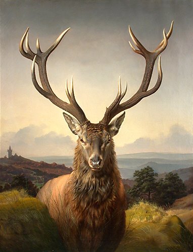 [Carl_Friedrich_Deiker_Hirsch.jpg]